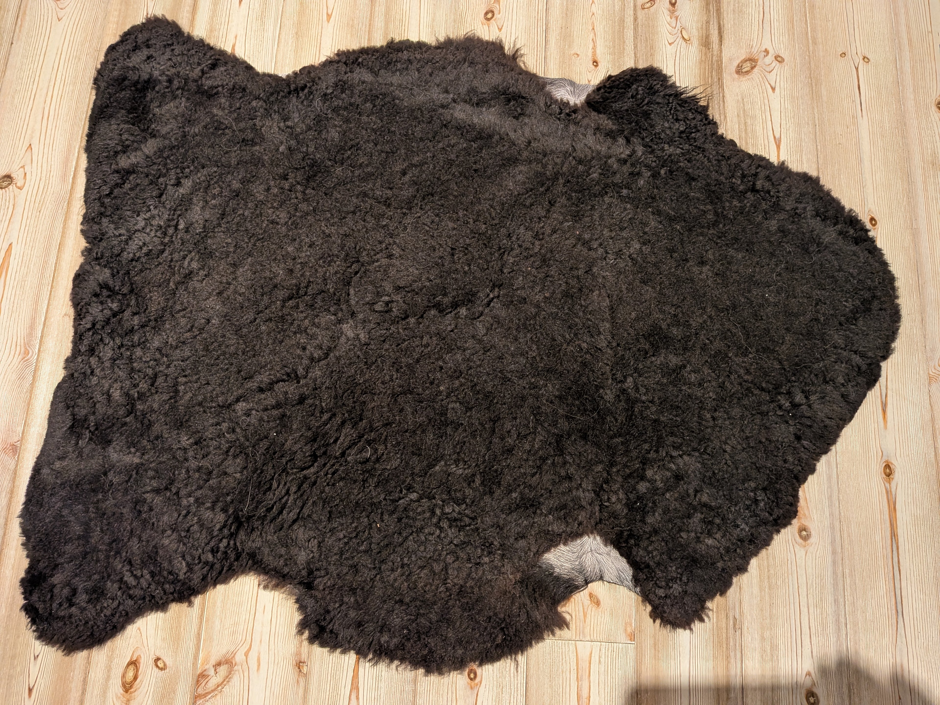 88 x 69 cm