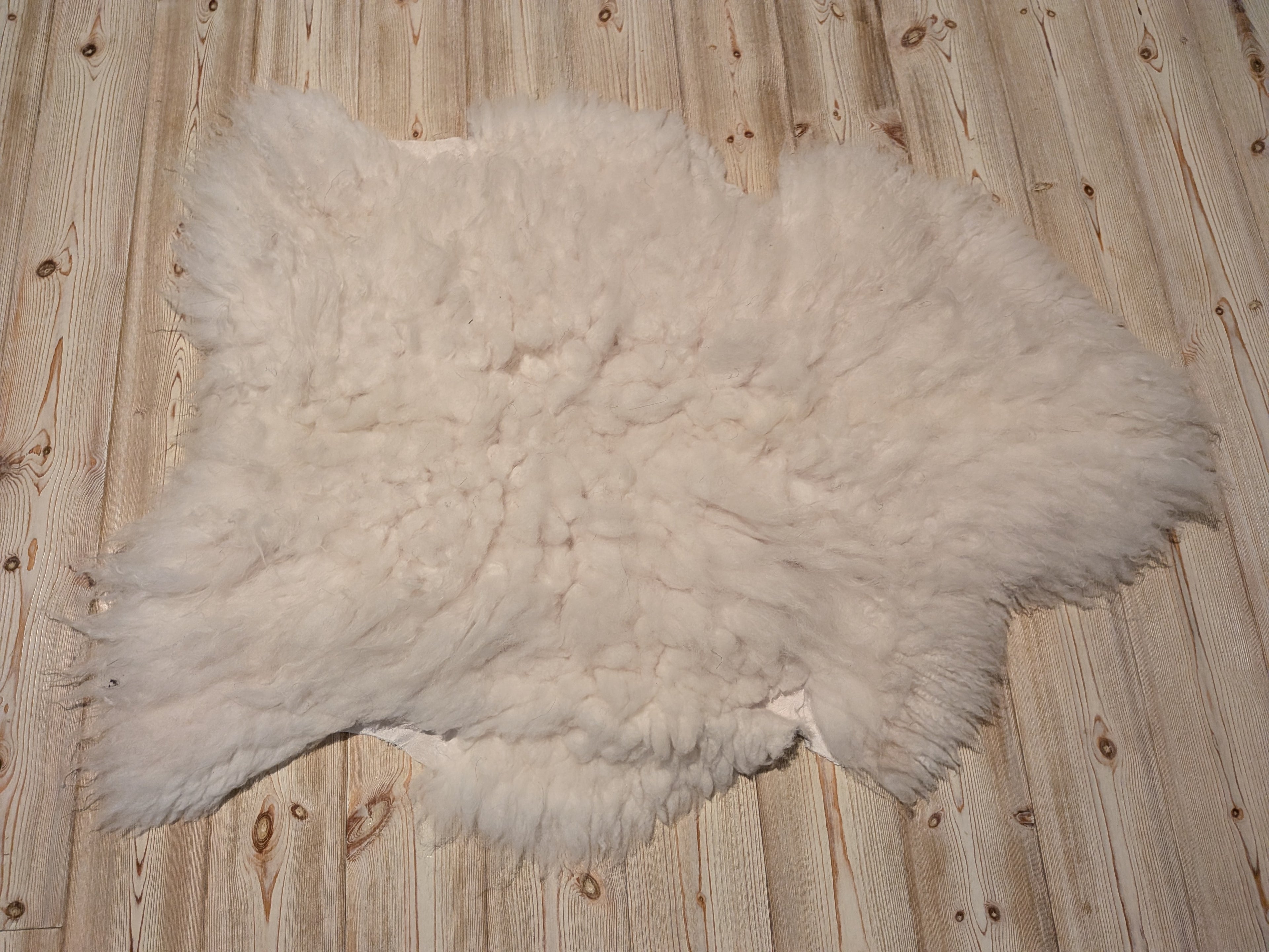 81 x 65 cm