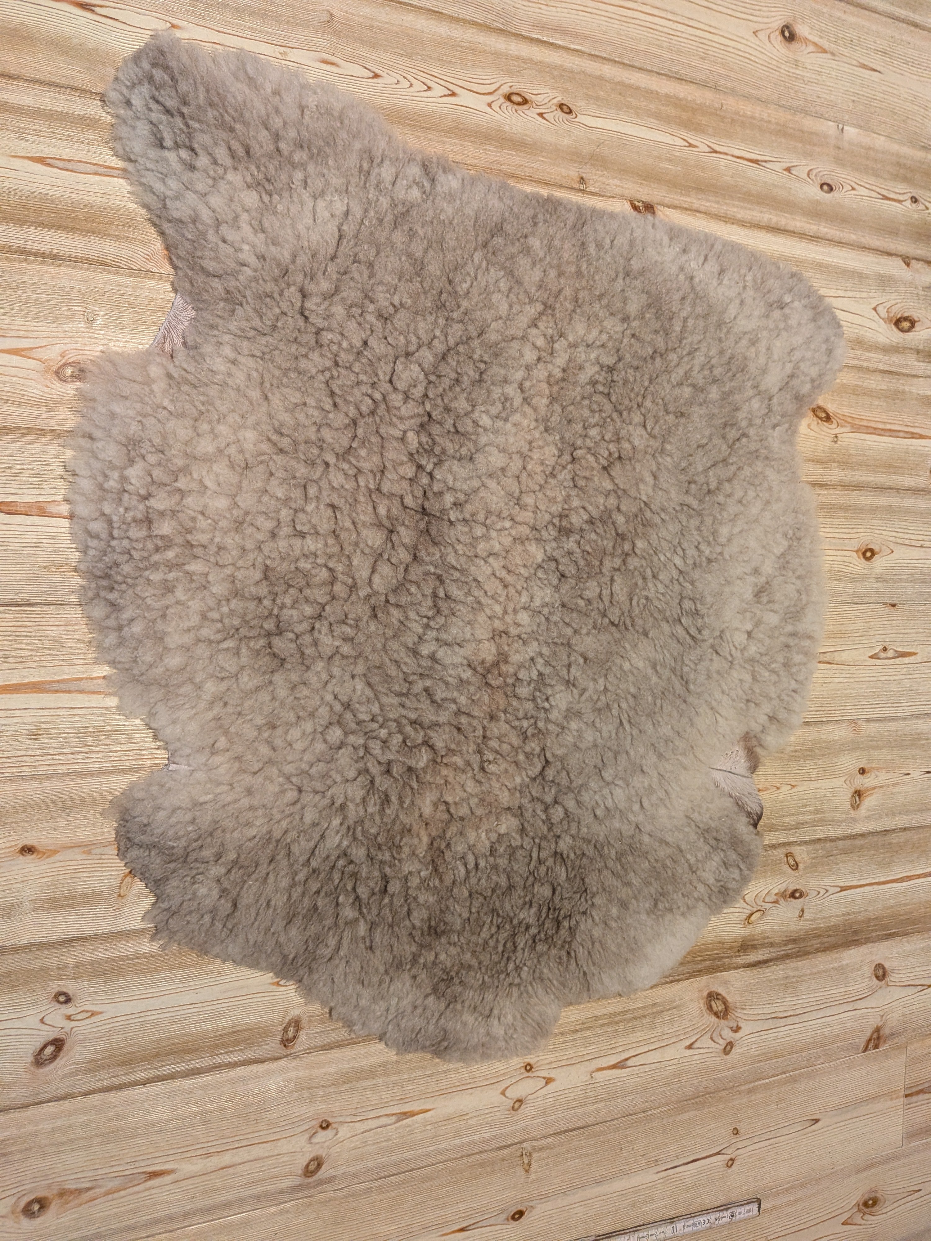 62 x 65 cm
