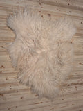 77 x 72 cm
